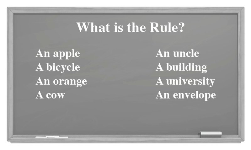rule board