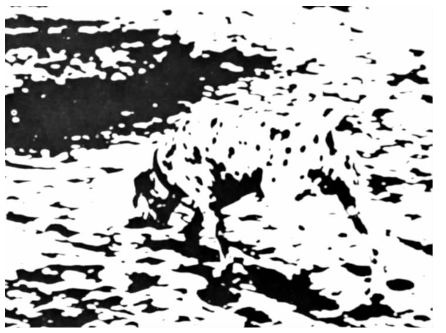 027-01