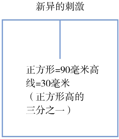 050-03