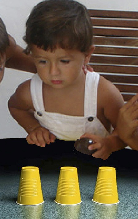 Image 31